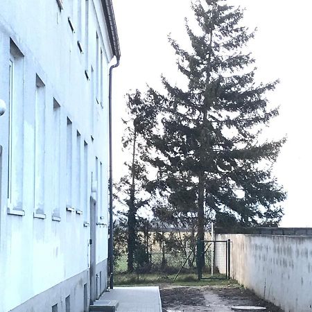 Lg Living Apartment Stockerau Kültér fotó